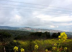 City-of-Safed-from-a-distance